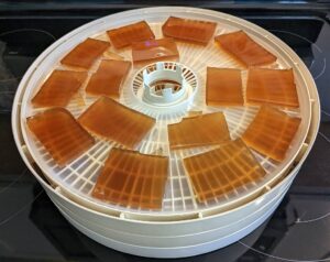 beef gelatin cubes on a dehydrator tray removable fruit roll sheet inserts.