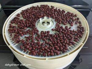 black beans on dehydrator tray