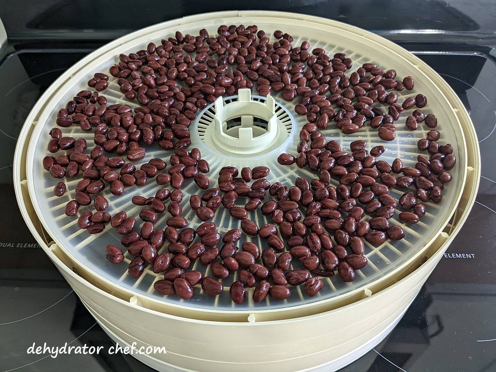 black beans on dehydrator tray