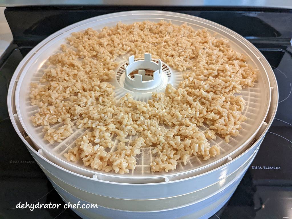 brown rice on the dehydrator tray