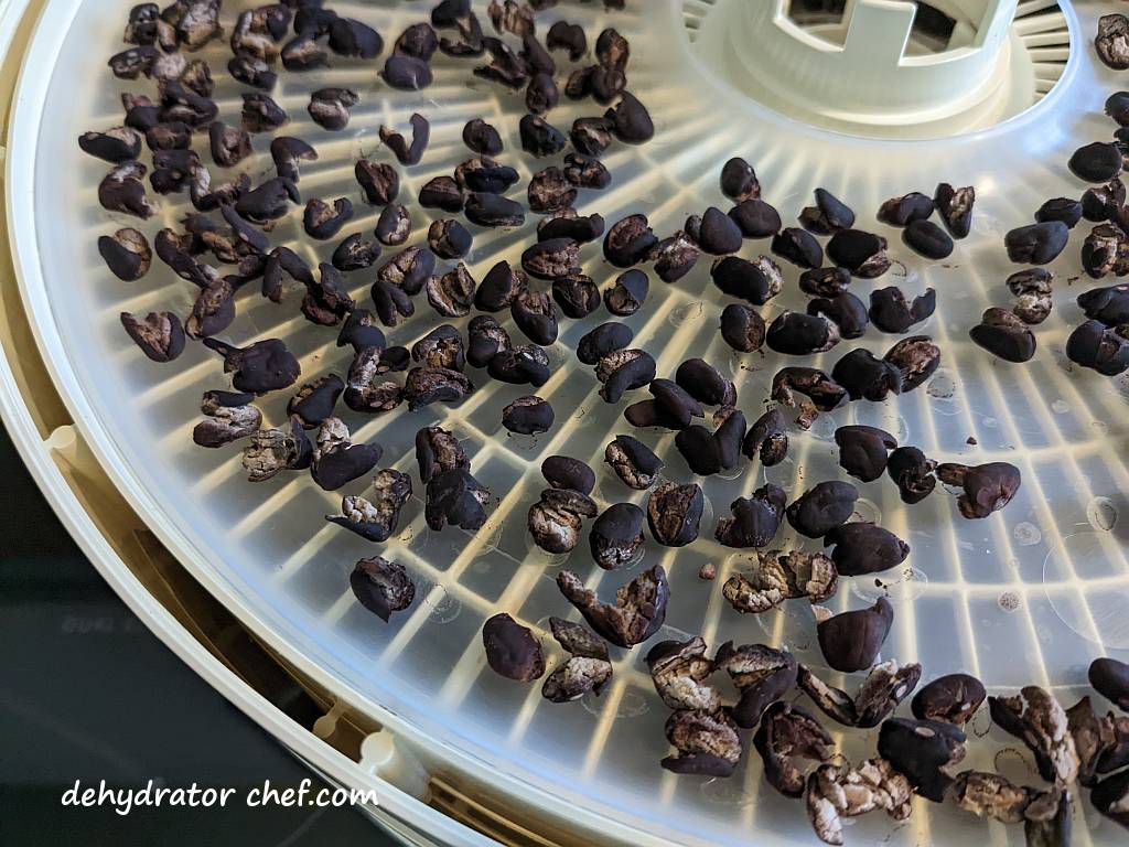 closeup of dehydrated black beans on a dehydrator tray