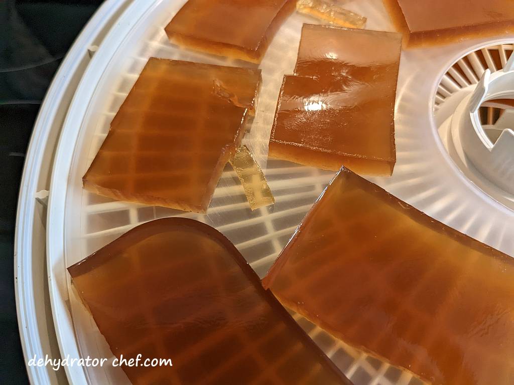 closeup of beef gelatin cubes on dehydrator tray | dehydrated beef stock