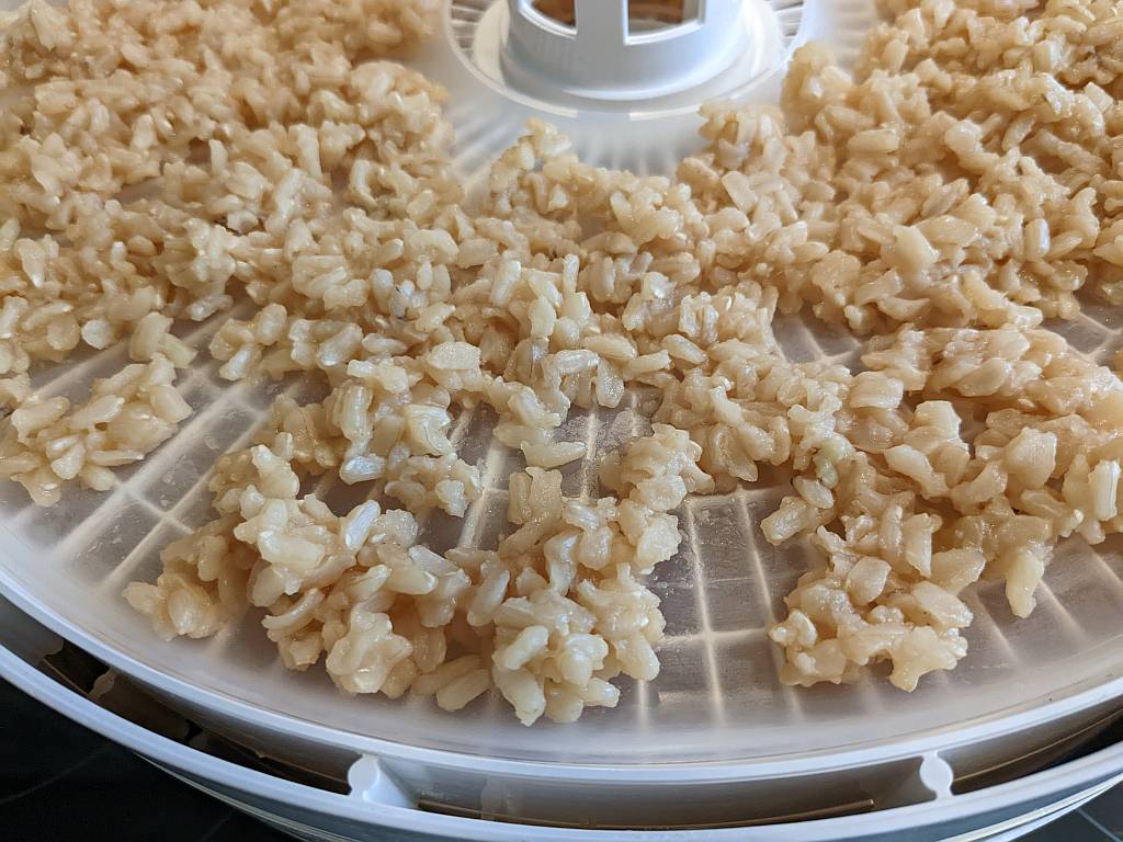 closeup of brown rice for our dehydrating brown rice project