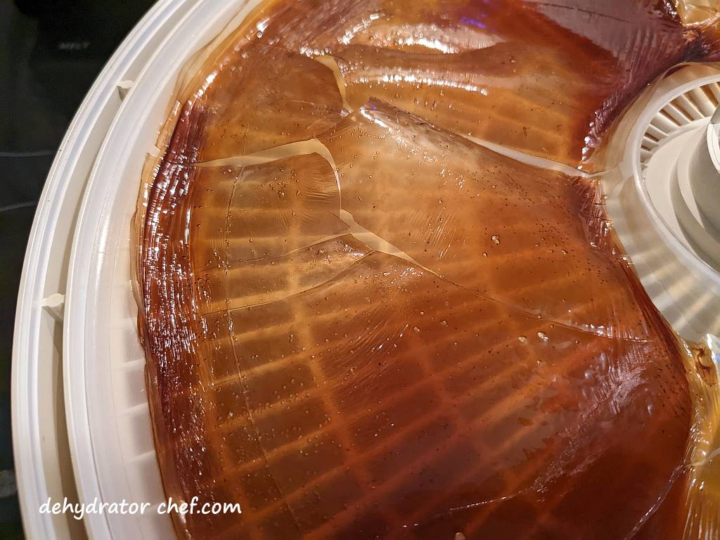 closeup of dehydrated beef stock on a dehydrator tray
