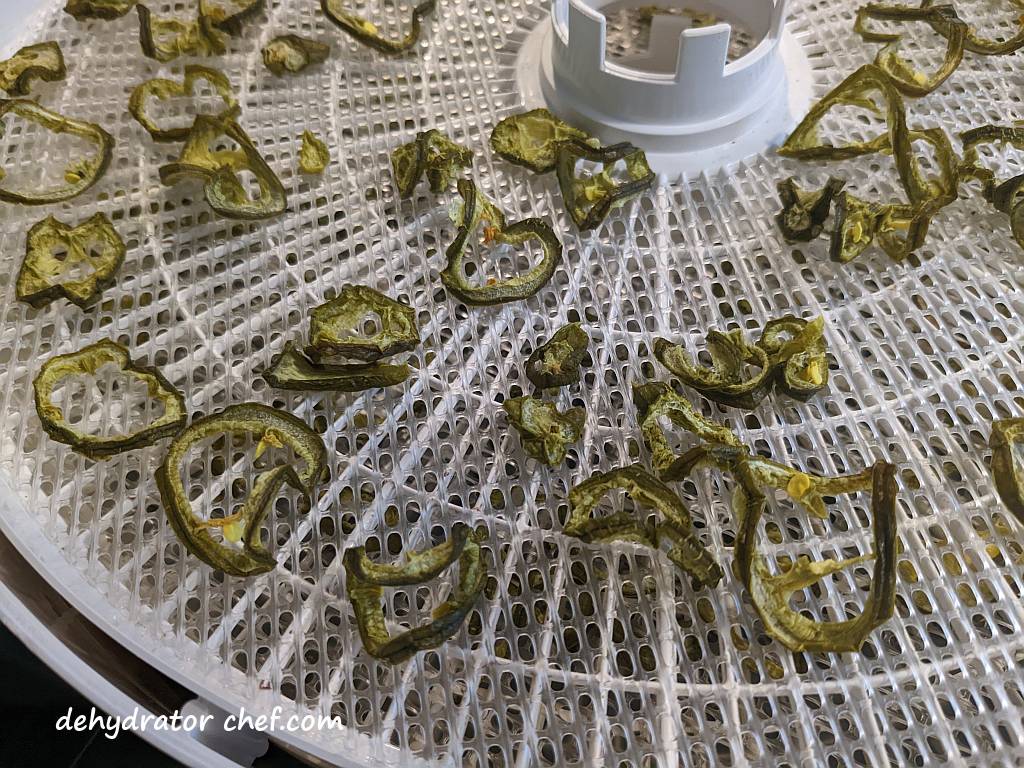 closeup of dehydrated jalapeno peppers on a dehydrator tray | dried jalapeno peppers