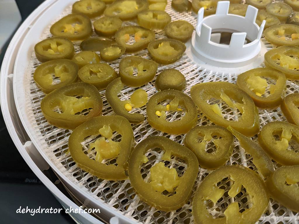 closeup of a dehydrator tray with mesh insert for dehydrating jalapeno peppers | drying jalapeno peppers