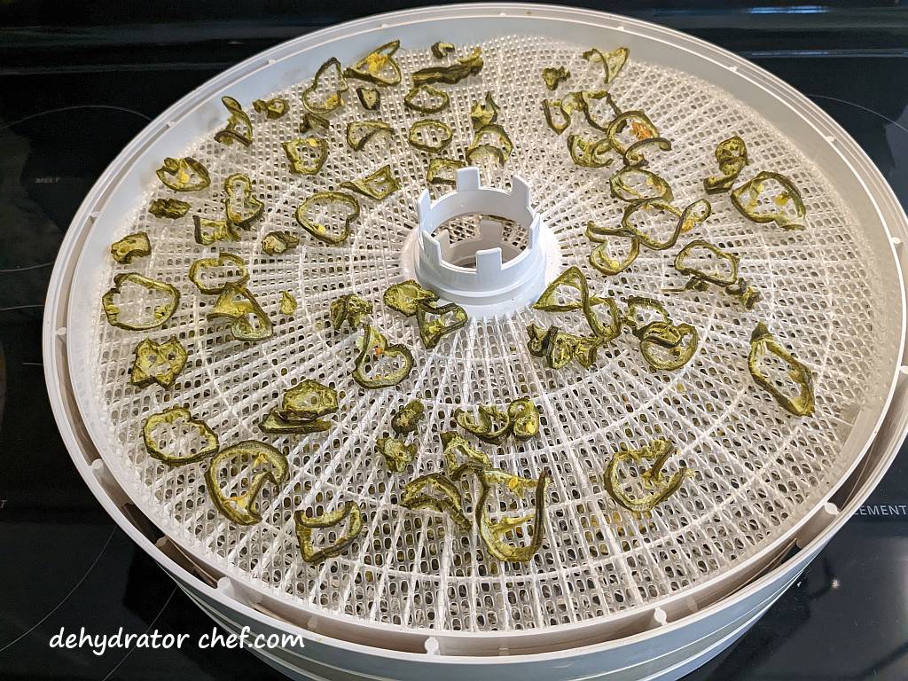 dehydrated jalapeno peppers on dehydrator tray