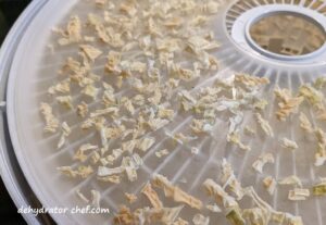 dehydrating onions on a fruit roll sheet