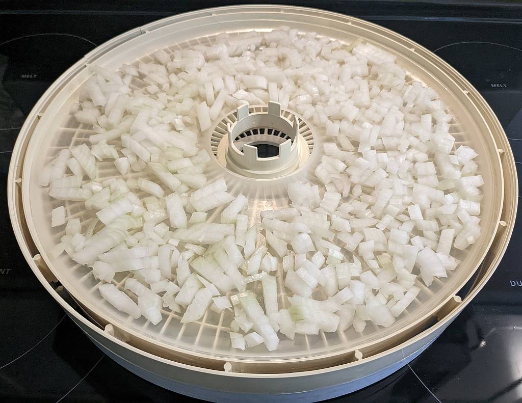  processed onions on a dehydrator tray | dehydrating onions | drying onions | best foods to dehydrate for long term storage | dehydrating food for long term storage | dehydrated food recipes for long term storage | dehydrating meals for long term storage | food dehydrator for long term storage