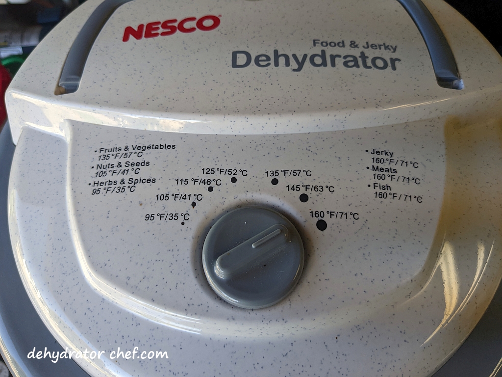 The dehydrator temperature control is set to 160 °F (71 °C) to dry enchilada sauce.