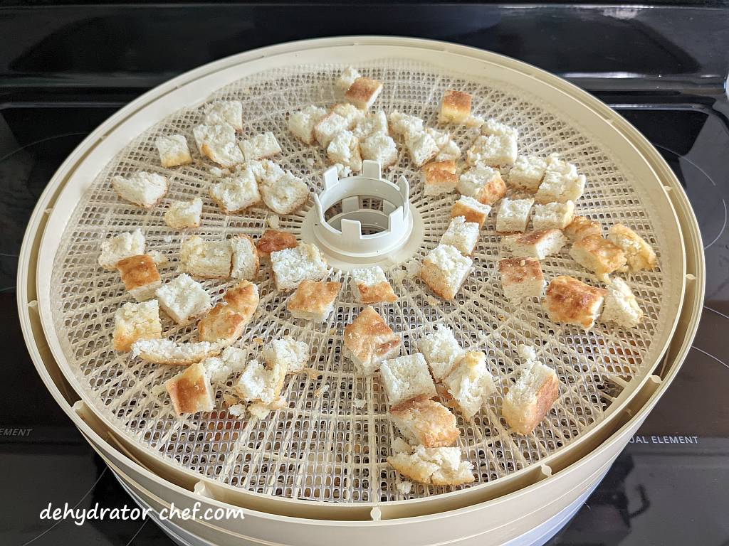 dehydrated biscuits on a dehydrator tray