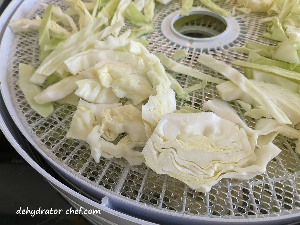a closeup of our sliced cabbage on the dehydrator trays