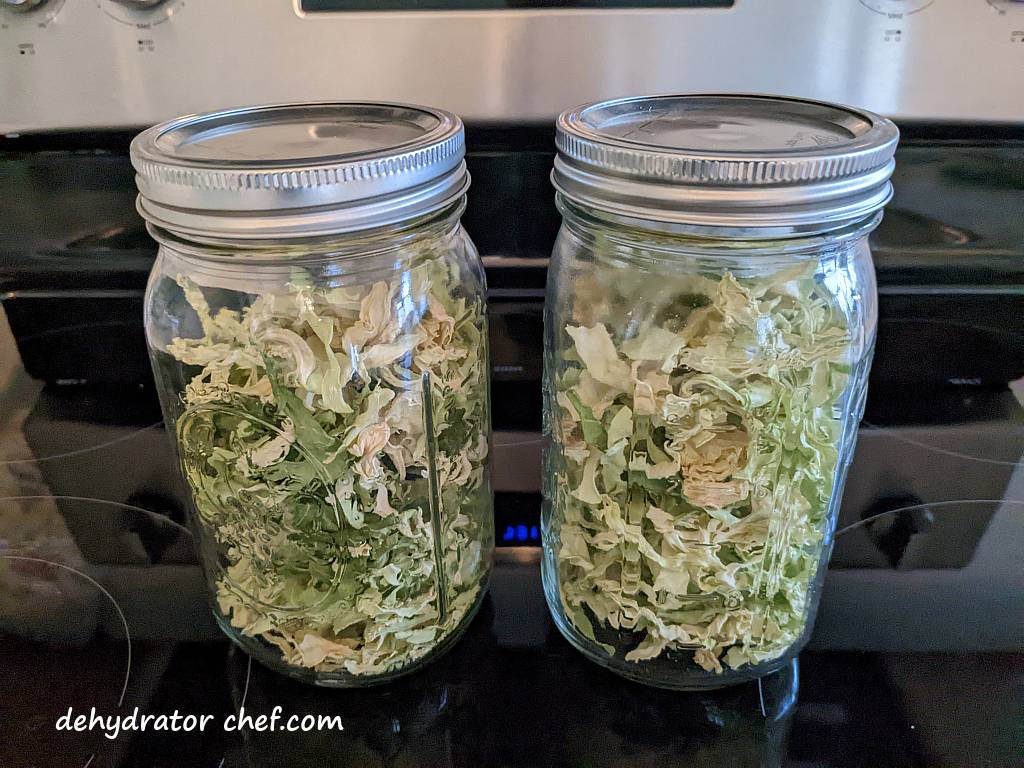 Storing our dehydrated cabbage slices for later use.