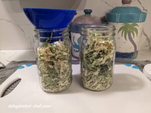 a 3 pound cabbage dehydrated and loosely packed into 2 of our 1-quart canning jars