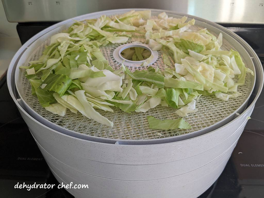 green cabbage slices on food dehydrator trays