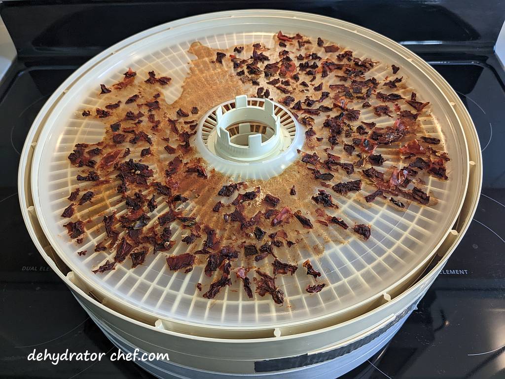 dehydrated tomatoes and chili peppers on a dehydrator tray | best foods to dehydrate for long term storage | dehydrating food for long term storage | dehydrated food recipes for long term storage | dehydrating meals for long term storage | food dehydrator for long term storage