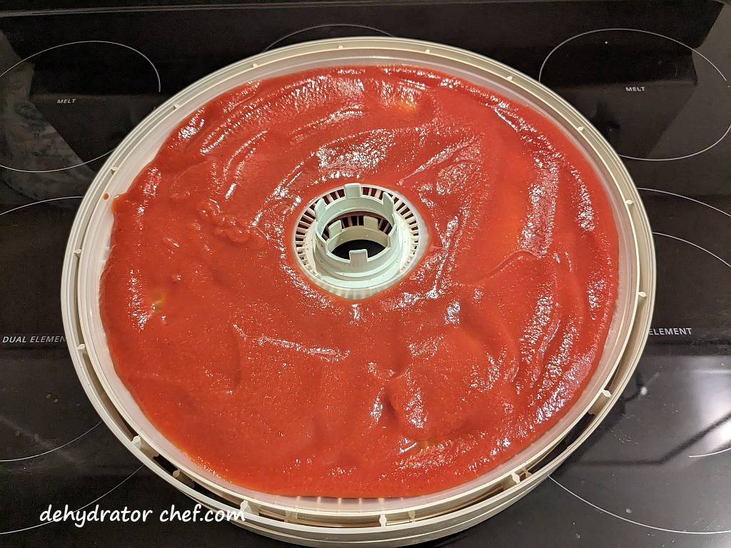 tomato sauce evenly spread out on a fruit roll sheet | best foods to dehydrate for long term storage | dehydrating food for long term storage | dehydrated food recipes for long term storage | dehydrating meals for long term storage | food dehydrator for long term storage