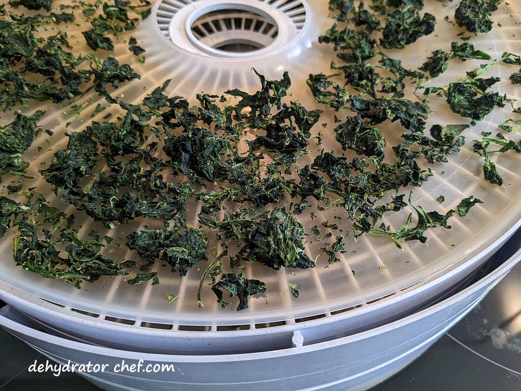 close-up of dehydrated spinach on dehydrator trays | | dehydrating frozen spinach | dehydrated frozen spinach | dehydrating spinach | dehydrated spinach | best foods to dehydrate for long term storage | dehydrating food for long term storage | dehydrated food recipes for long term storage | dehydrating meals for long term storage | food dehydrator for long term storage
