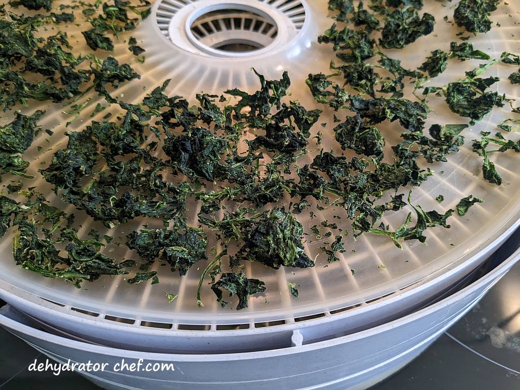 close-up of dehydrated spinach on dehydrator trays | dehydrating frozen spinach | dehydrated frozen spinach | dehydrating spinach | dehydrated spinach | best foods to dehydrate for long term storage | dehydrating food for long term storage | dehydrated food recipes for long term storage | dehydrating meals for long term storage | food dehydrator for long term storage