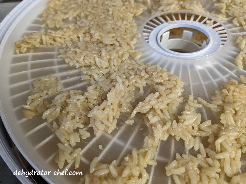 a close up view of cooked white rice on a dehydrator tray | dehydrating white rice | dehydrated white rice | best foods to dehydrate for long term storage | dehydrating food for long term storage | dehydrated food recipes for long term storage | dehydrating meals for long term storage | food dehydrator for long term storage