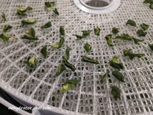 closeup of dehydrated green bell pepper | dehydrating bell peppers | how to dehydrate bell peppers | dehydrating green peppers | dehydrating red peppers | dehydrating yellow peppers | best foods to dehydrate for long term storage | dehydrating food for long term storage | dehydrated food recipes for long term storage | dehydrating meals for long term storage | food dehydrator for long term storage