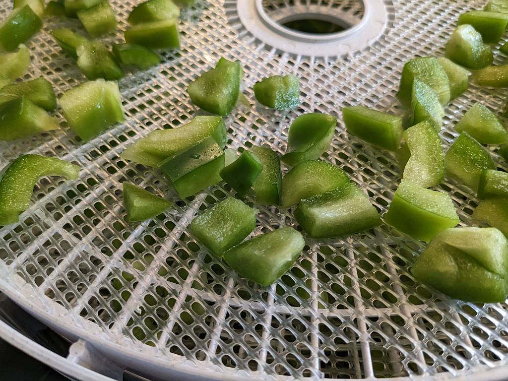 closeup of green bell pepper on a dehydrator tray | dehydrating bell peppers | how to dehydrate bell peppers | dehydrating green peppers | dehydrating red peppers | dehydrating yellow peppers | best foods to dehydrate for long term storage | dehydrating food for long term storage | dehydrated food recipes for long term storage | dehydrating meals for long term storage | food dehydrator for long term storage