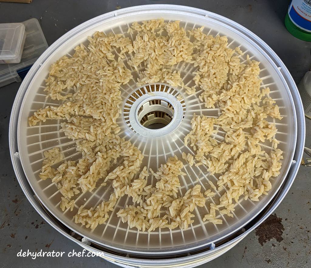 cooked white rice on a removable fruit roll sheet insert on a dehydrator tray | dehydrating white rice | dehydrated white rice | best foods to dehydrate for long term storage | dehydrating food for long term storage | dehydrated food recipes for long term storage | dehydrating meals for long term storage | food dehydrator for long term storage