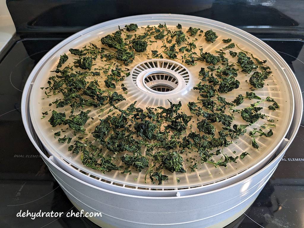 dehydrated spinach on dehydrator trays | dehydrating frozen spinach | dehydrated frozen spinach | dehydrating spinach | dehydrated spinach | best foods to dehydrate for long term storage | dehydrating food for long term storage | dehydrated food recipes for long term storage | dehydrating meals for long term storage | food dehydrator for long term storage