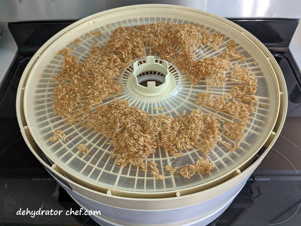 dehydrated white rice on a fruit roll sheet insert on a dehydrator tray | | dehydrating white rice | dehydrated white rice | best foods to dehydrate for long term storage | dehydrating food for long term storage | dehydrated food recipes for long term storage | dehydrating meals for long term storage | food dehydrator for long term storage