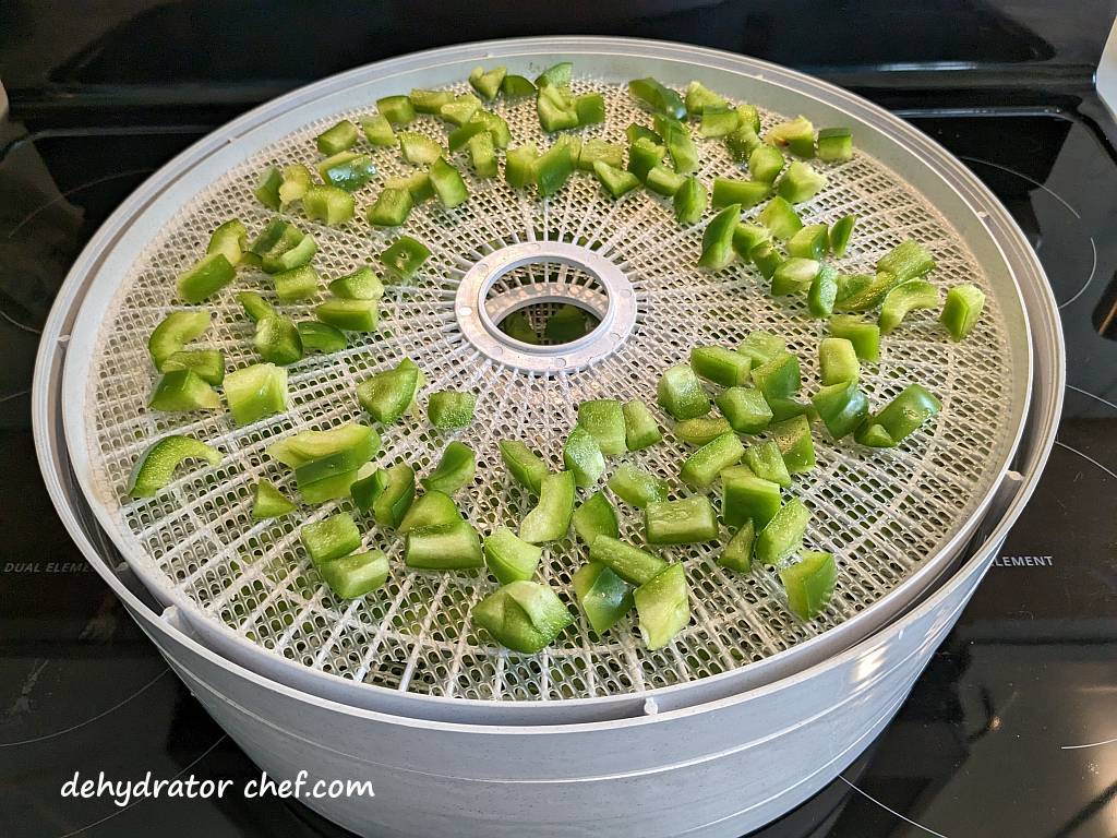 green bell pepper on a dehydrator tray | dehydrating bell peppers | how to dehydrate bell peppers | dehydrating green peppers | dehydrating red peppers | dehydrating yellow peppers | best foods to dehydrate for long term storage | dehydrating food for long term storage | dehydrated food recipes for long term storage | dehydrating meals for long term storage | food dehydrator for long term storage