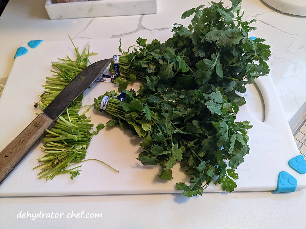 trimming cilantro stems with a kitchen knife | dehydrating cilantro | how to dehydrate cilantro | best foods to dehydrate for long term storage | dehydrating food for long term storage | dehydrated food recipes for long term storage | dehydrating meals for long term storage | food dehydrator for long term storage