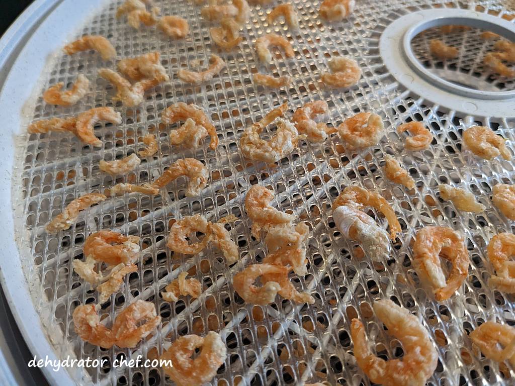 close up of dried shrimp on dehydrator trays | dehydrating shrimp | how to dehydrate shrimp | best foods to dehydrate for long term storage | dehydrating food for long term storage | dehydrated food recipes for long term storage | dehydrating meals for long term storage | food dehydrator for long term storage | making dehydrated meals for camping | homemade dehydrated meal recipes | make your own dehydrated camping food | homemade dehydrated camping meals | homemade dehydrated backpacking meals