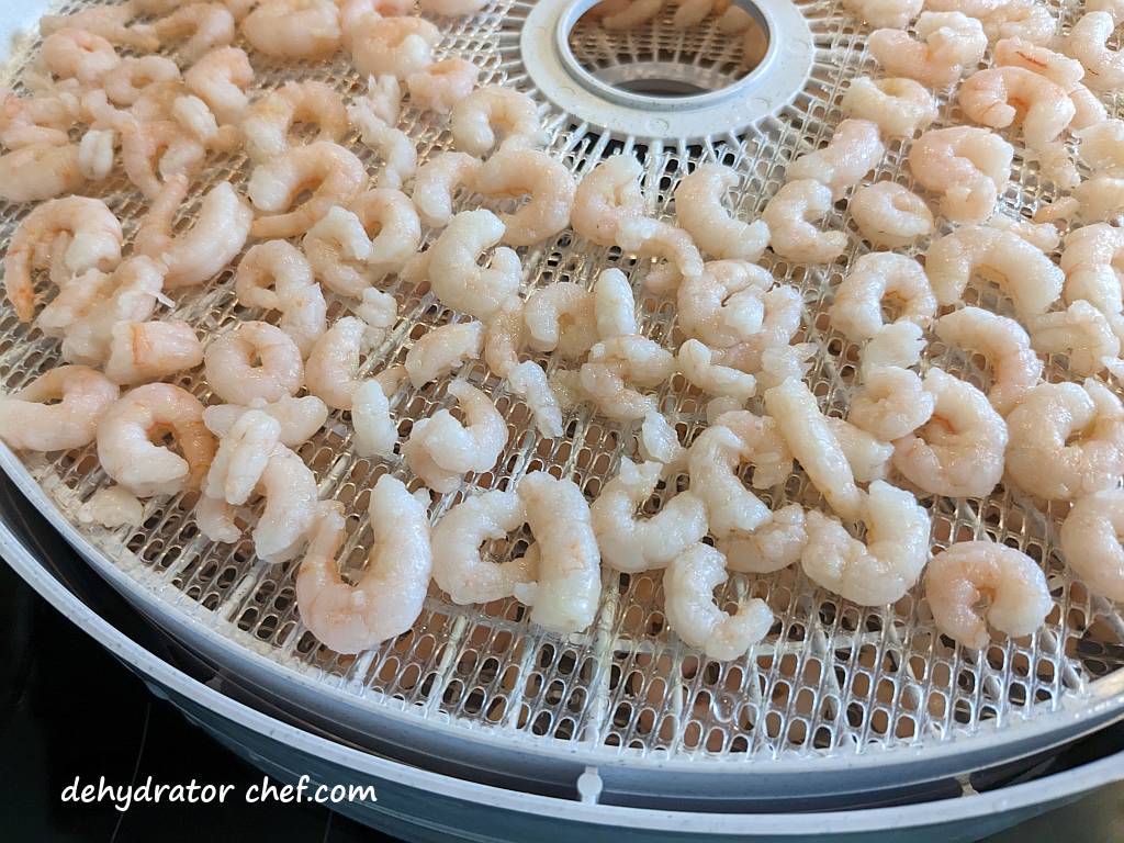 close up of processed shrimp on dehydrator trays | dehydrating shrimp | how to dehydrate shrimp | best foods to dehydrate for long term storage | dehydrating food for long term storage | dehydrated food recipes for long term storage | dehydrating meals for long term storage | food dehydrator for long term storage | making dehydrated meals for camping | homemade dehydrated meal recipes | make your own dehydrated camping food | homemade dehydrated camping meals | homemade dehydrated backpacking meals