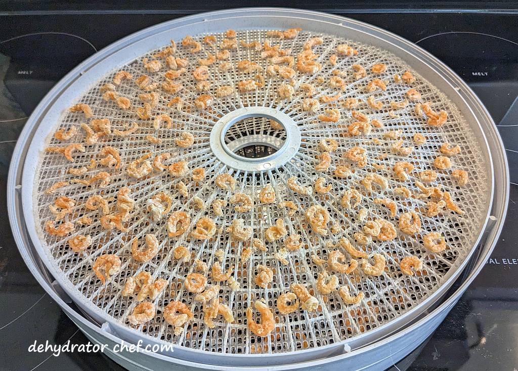 dried shrimp on dehydrator tray | | dehydrating shrimp | how to dehydrate shrimp | best foods to dehydrate for long term storage | dehydrating food for long term storage | dehydrated food recipes for long term storage | dehydrating meals for long term storage | food dehydrator for long term storage | making dehydrated meals for camping | homemade dehydrated meal recipes | make your own dehydrated camping food | homemade dehydrated camping meals | homemade dehydrated backpacking meals