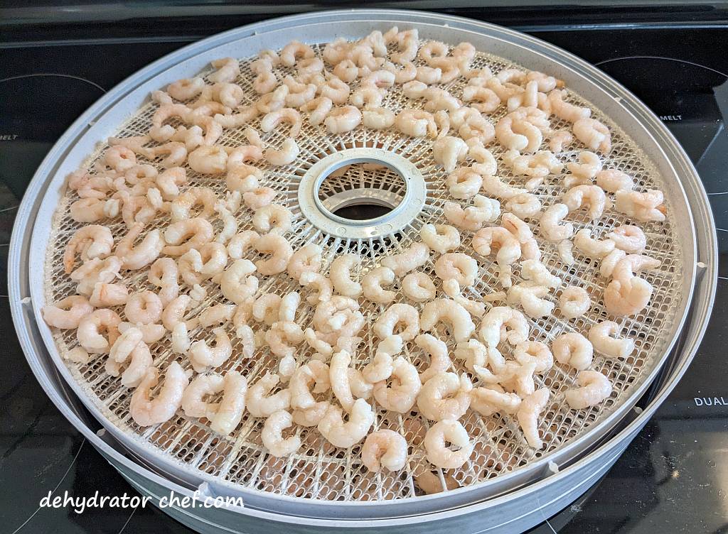 processed shrimp on dehydrator trays | | dehydrating shrimp | how to dehydrate shrimp | best foods to dehydrate for long term storage | dehydrating food for long term storage | dehydrated food recipes for long term storage | dehydrating meals for long term storage | food dehydrator for long term storage | making dehydrated meals for camping | homemade dehydrated meal recipes | make your own dehydrated camping food | homemade dehydrated camping meals | homemade dehydrated backpacking meals
