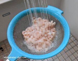 rinsing the shrimp under cold running water | | dehydrating shrimp | how to dehydrate shrimp | best foods to dehydrate for long term storage | dehydrating food for long term storage | dehydrated food recipes for long term storage | dehydrating meals for long term storage | food dehydrator for long term storage | making dehydrated meals for camping | homemade dehydrated meal recipes | make your own dehydrated camping food | homemade dehydrated camping meals | homemade dehydrated backpacking meals