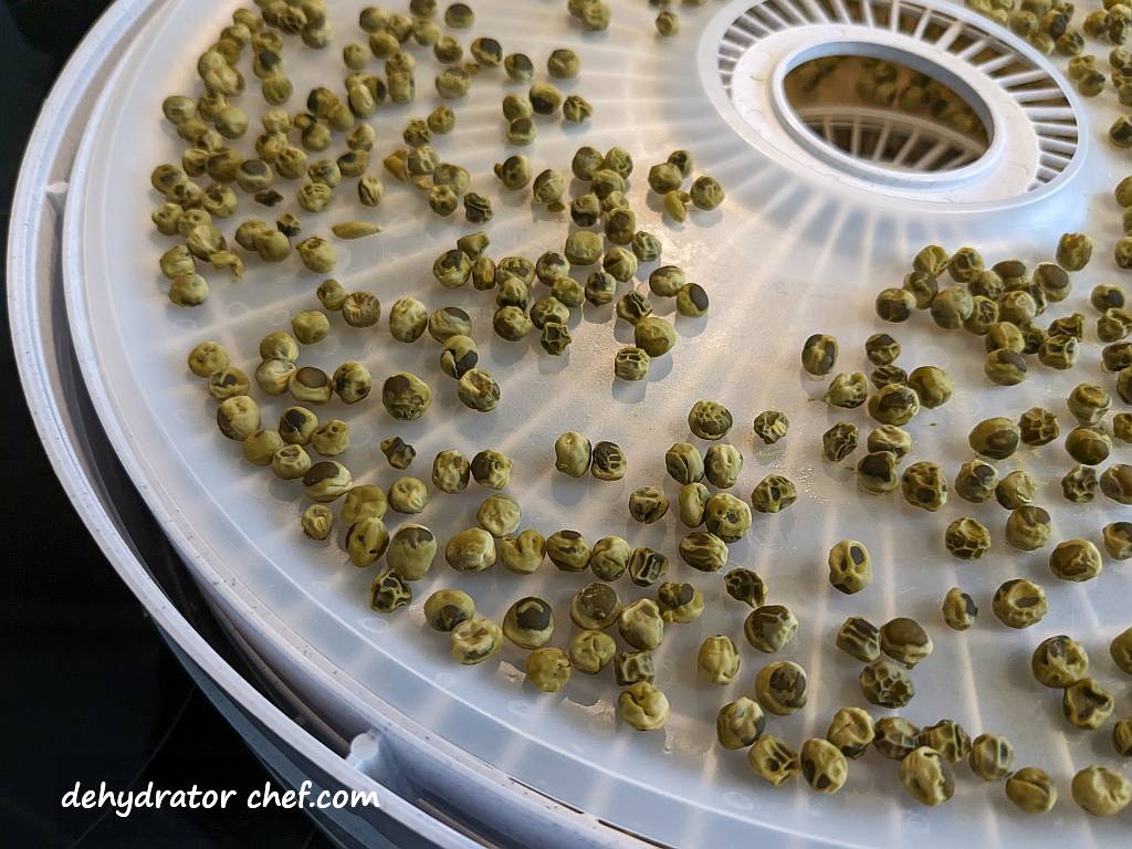 a close up of dried peas on a dehydrator tray | dehydrating canned peas | dehydrated peas | best foods to dehydrate for long term storage | dehydrating food for long term storage | dehydrated food recipes for long term storage | dehydrating meals for long term storage | food dehydrator for long term storage