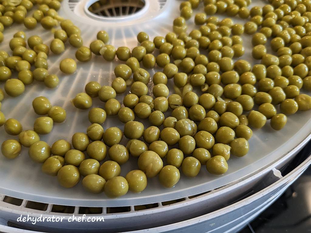 a close up of peas on a dehydrator tray | dehydrating canned peas | dehydrated peas | best foods to dehydrate for long term storage | dehydrating food for long term storage | dehydrated food recipes for long term storage | dehydrating meals for long term storage | food dehydrator for long term storage