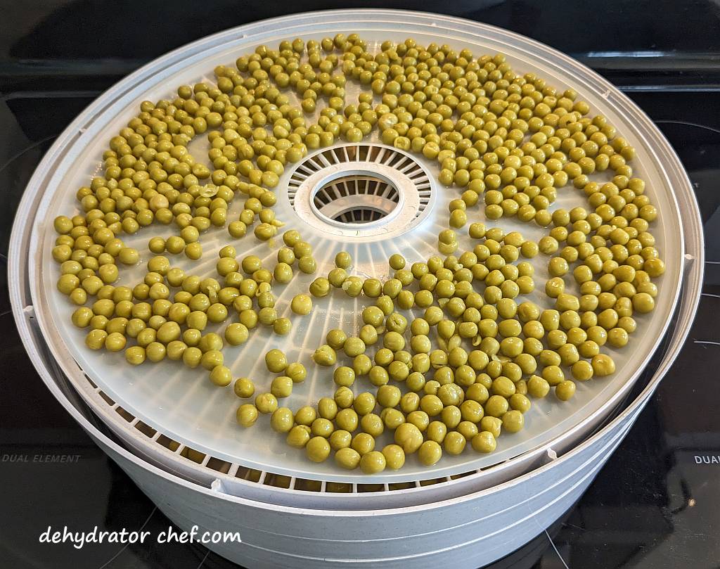 peas on a dehydrator tray | dehydrating canned peas | dehydrated peas | best foods to dehydrate for long term storage | dehydrating food for long term storage | dehydrated food recipes for long term storage | dehydrating meals for long term storage | food dehydrator for long term storage