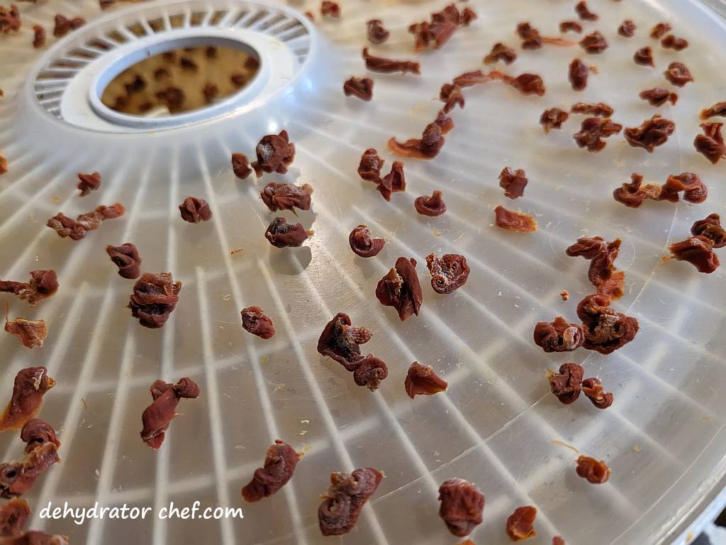 close up view of the dehydrated carrots | dehydrating canned carrots | dehydrated carrots | best foods to dehydrate for long term storage | dehydrating food for long term storage | dehydrated food recipes for long term storage | dehydrating meals for long term storage | food dehydrator for long term storage