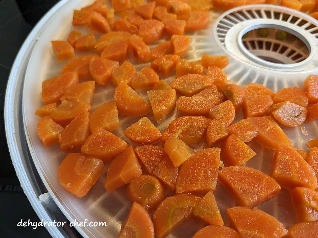 close up view of the processed carrots | dehydrating canned carrots | dehydrated carrots | best foods to dehydrate for long term storage | dehydrating food for long term storage | dehydrated food recipes for long term storage | dehydrating meals for long term storage | food dehydrator for long term storage
