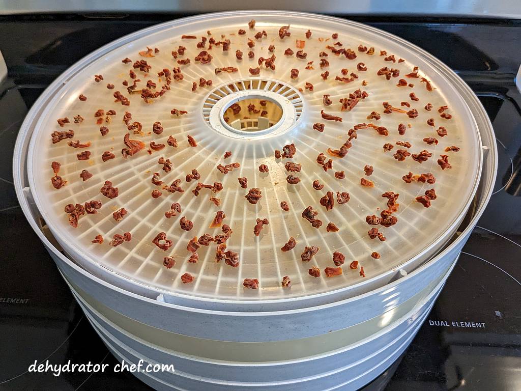 dehydrated carrots on a dehydrator tray | dehydrating canned carrots | dehydrated carrots | best foods to dehydrate for long term storage | dehydrating food for long term storage | dehydrated food recipes for long term storage | dehydrating meals for long term storage | food dehydrator for long term storage