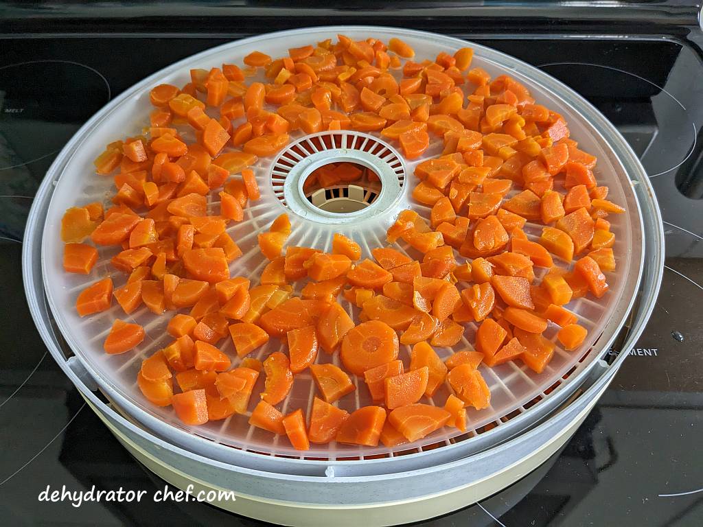 processed carrots on a dehydrator tray | dehydrating canned carrots | dehydrated carrots | best foods to dehydrate for long term storage | dehydrating food for long term storage | dehydrated food recipes for long term storage | dehydrating meals for long term storage | food dehydrator for long term storage