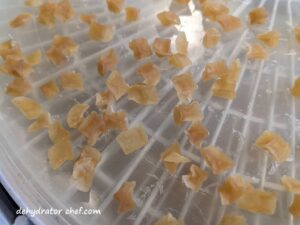 close up of diced potatoes on dehydrator tray | dehydrating potatoes | dehydrated diced potatoes | best foods to dehydrate for long term storage | dehydrating food for long term storage | dehydrated food recipes for long term storage | dehydrating meals for long term storage | food dehydrator for long term storage