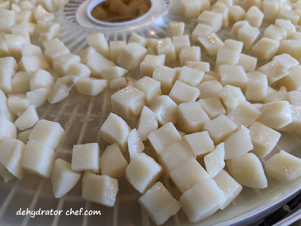 close up of diced potatoes on dehydrator trays | dehydrating potatoes | dehydrated diced potatoes | best foods to dehydrate for long term storage | dehydrating food for long term storage | dehydrated food recipes for long term storage | dehydrating meals for long term storage | food dehydrator for long term storage