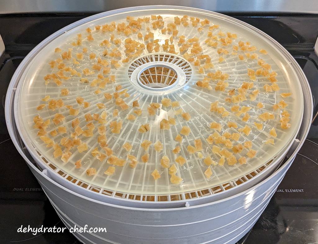 dehydrated diced potatoes on dehydrator tray | dehydrating potatoes | dehydrated diced potatoes | best foods to dehydrate for long term storage | dehydrating food for long term storage | dehydrated food recipes for long term storage | dehydrating meals for long term storage | food dehydrator for long term storage