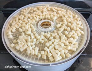 diced potatoes on dehydrator trays | dehydrating potatoes | dehydrated diced potatoes | best foods to dehydrate for long term storage | dehydrating food for long term storage | dehydrated food recipes for long term storage | dehydrating meals for long term storage | food dehydrator for long term storage