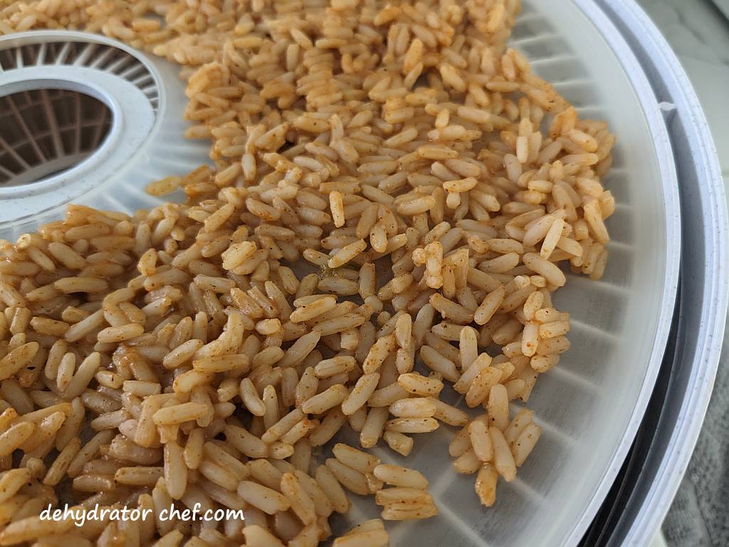 close up of jambalaya rice on a dehydrator tray | dehydrating Zatarain's Jambalaya Rice | dehydrated Zatarain's Jambalaya Rice | best foods to dehydrate for long term storage | dehydrating food for long term storage | dehydrated food recipes for long term storage | dehydrating meals for long term storage | food dehydrator for long term storage