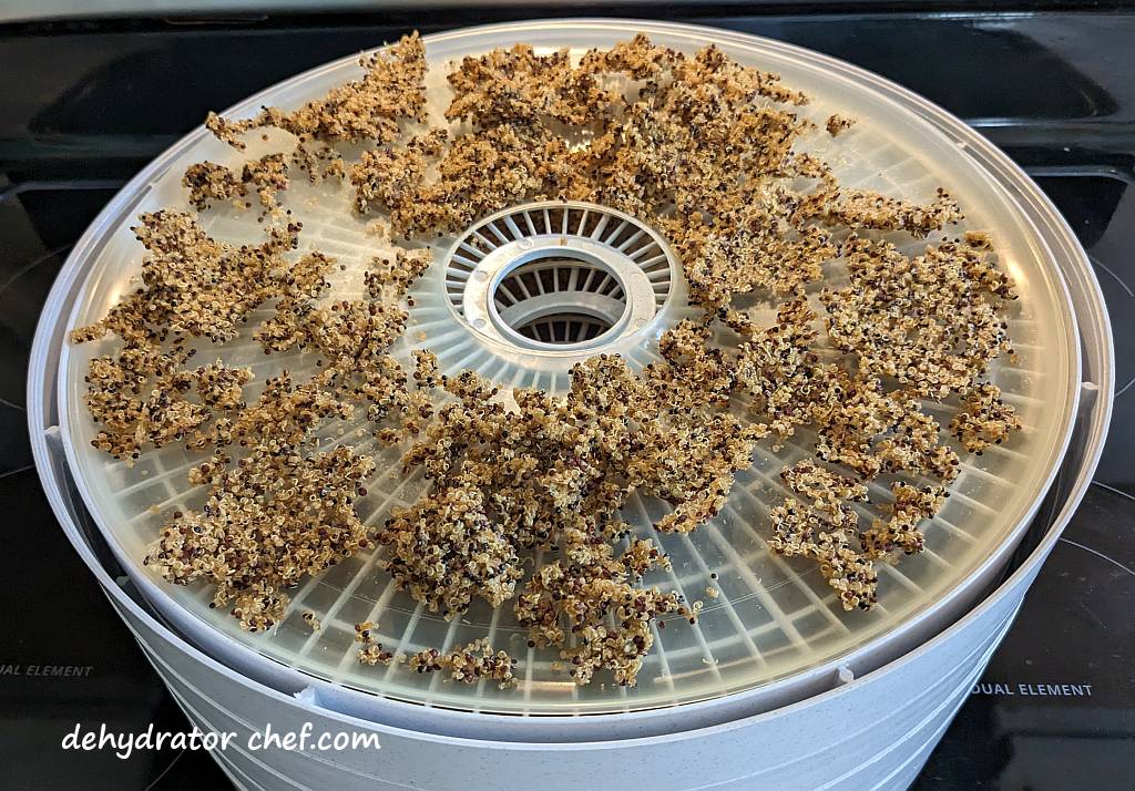 the dehydrated quinoa that was cooked in vegetable broth is ready for the next step to equalize and condition | dehydrating quinoa | dehydrated quinoa | best foods to dehydrate for long term storage | dehydrating food for long term storage | dehydrated food recipes for long term storage | dehydrating meals for long term storage | food dehydrator for long term storage