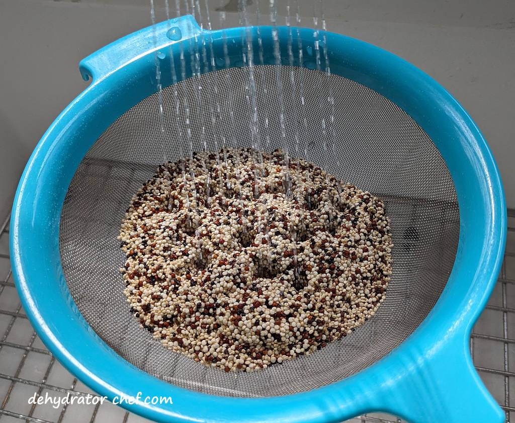 working in batches we rinse the quinoa under cold running water | dehydrating quinoa | dehydrated quinoa | best foods to dehydrate for long term storage | dehydrating food for long term storage | dehydrated food recipes for long term storage | dehydrating meals for long term storage | food dehydrator for long term storage